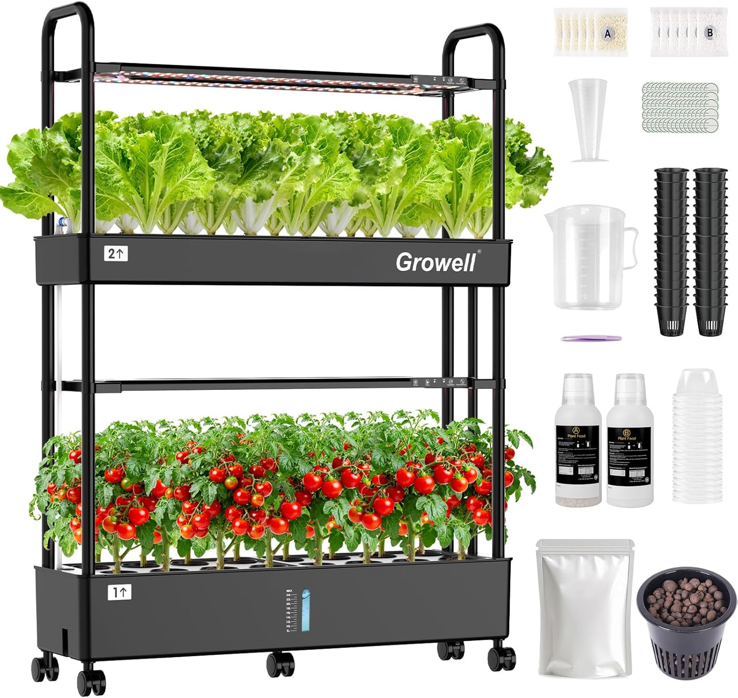 Large Basket Hydroponics Growing System Kit, 32 Pods Vertical Hydroponic Garden with 2 Grow Light Modes, Auto Circulating Water System, 32L Indoor Gardening System for Herb Vegetable Fruit
