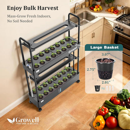 Large Basket Hydroponics Growing System Kit, 32 Pods Vertical Hydroponic Garden with 2 Grow Light Modes, Auto Circulating Water System, 32L Indoor Gardening System for Herb Vegetable Fruit