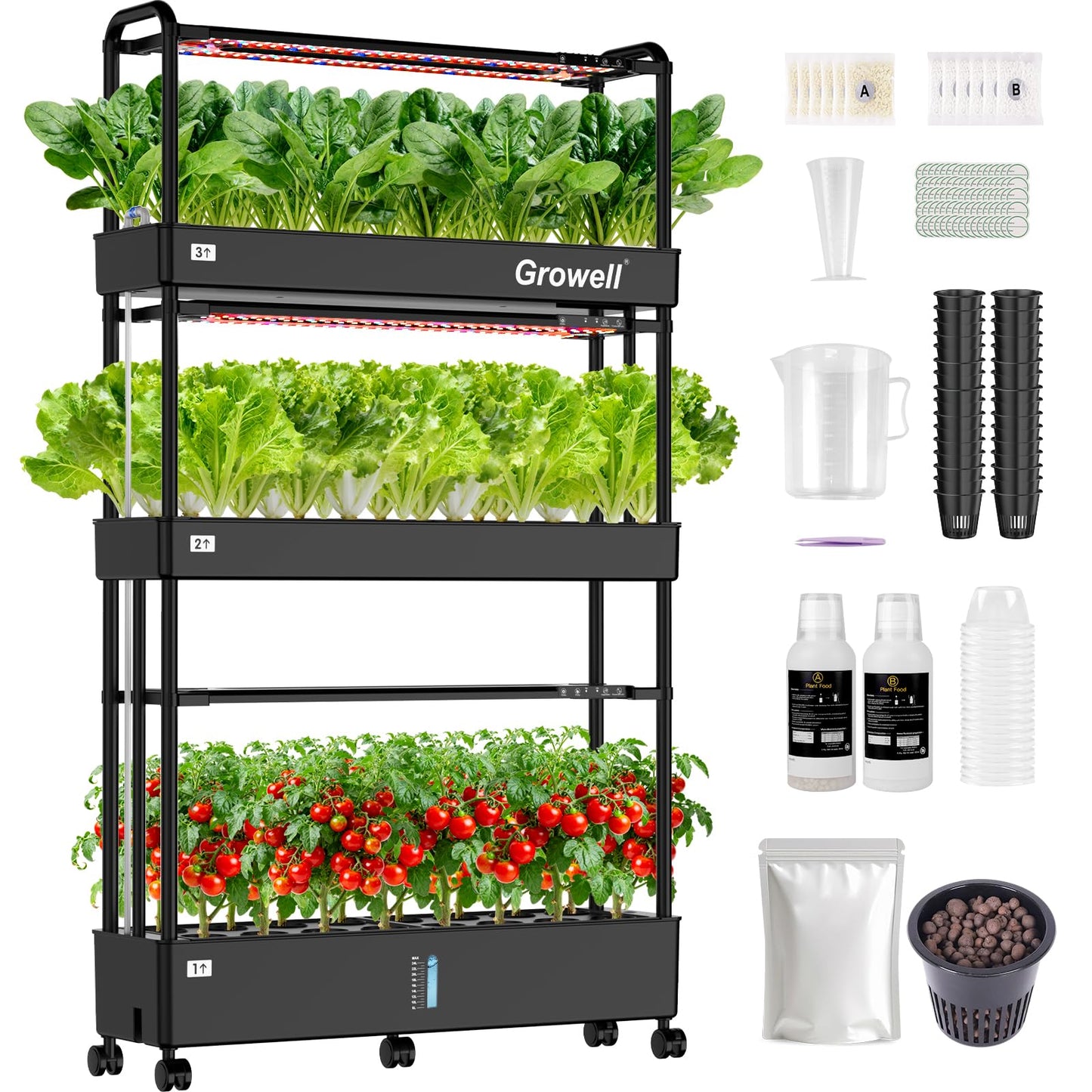 Large Basket Hydroponics Growing System Kit, 32 Pods Vertical Hydroponic Garden with 2 Grow Light Modes, Auto Circulating Water System, 32L Indoor Gardening System for Herb Vegetable Fruit