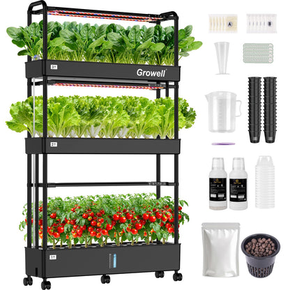 Large Basket Hydroponics Growing System Kit, 32 Pods Vertical Hydroponic Garden with 2 Grow Light Modes, Auto Circulating Water System, 32L Indoor Gardening System for Herb Vegetable Fruit