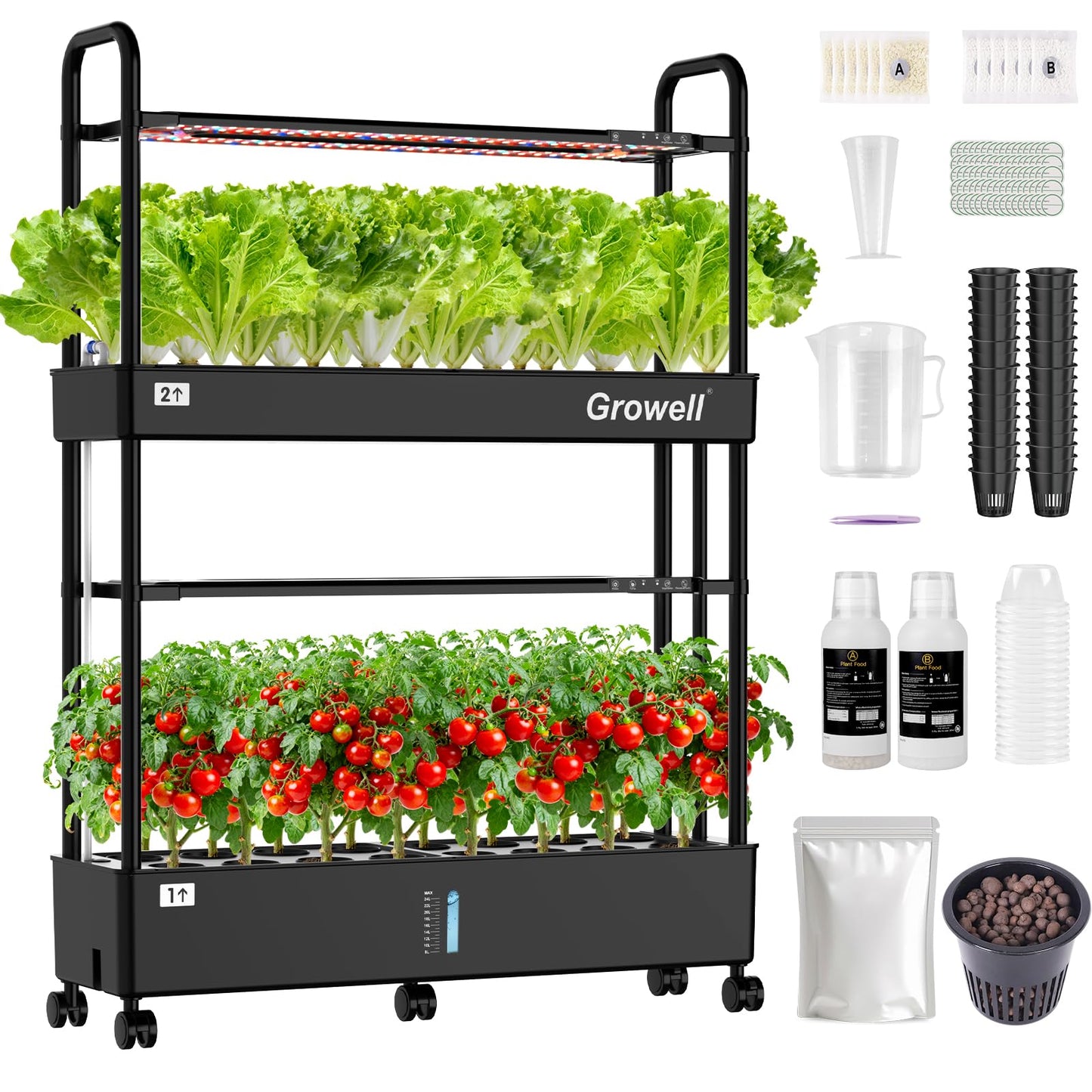 Large Basket Hydroponics Growing System Kit, 32 Pods Vertical Hydroponic Garden with 2 Grow Light Modes, Auto Circulating Water System, 32L Indoor Gardening System for Herb Vegetable Fruit